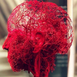 Meet your Posher, Mary ann